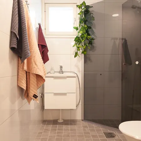 Saimaan Kodikas Premium Tatil Evi Savonlinna